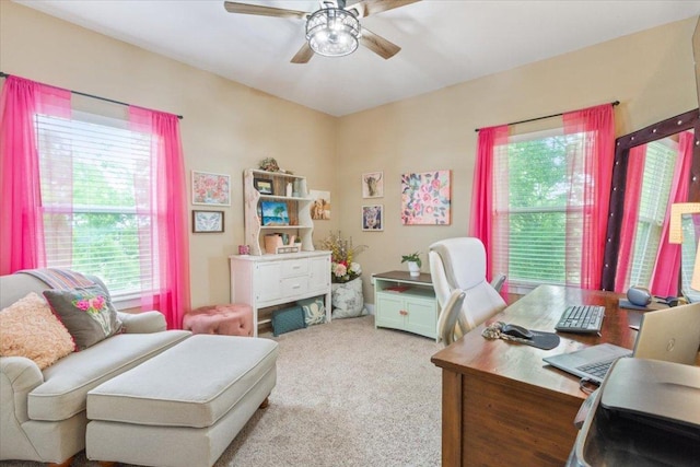 160 Buccaneer Way, Waco, TX 76638 - office featuring a ceiling fan and light colored carpet