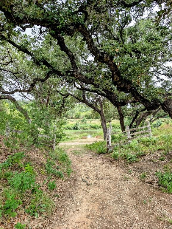 197 Beryl Way, Dripping Springs, TX 78620 - photo 20