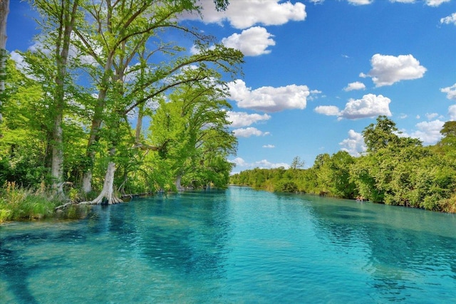 view of water feature with a view of trees