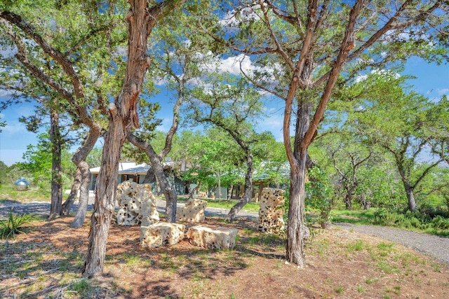 611 Deer Run, Wimberley, TX 78676 - photo 29
