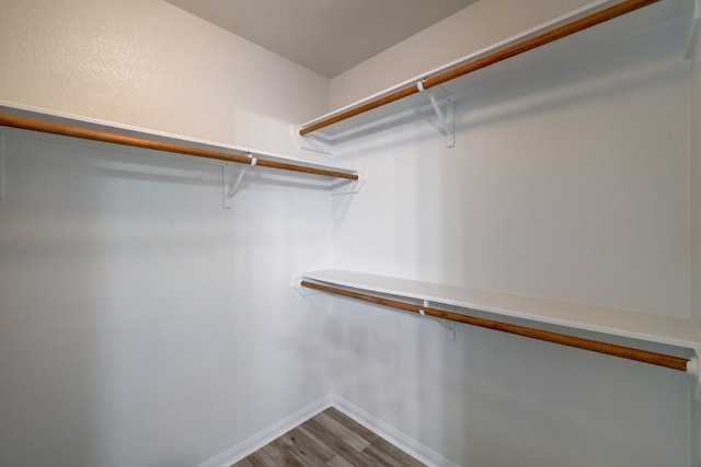 spacious closet with wood finished floors