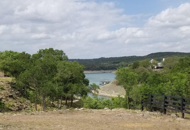 3103 Stableford Cv, Spicewood, TX 78669 - photo 4