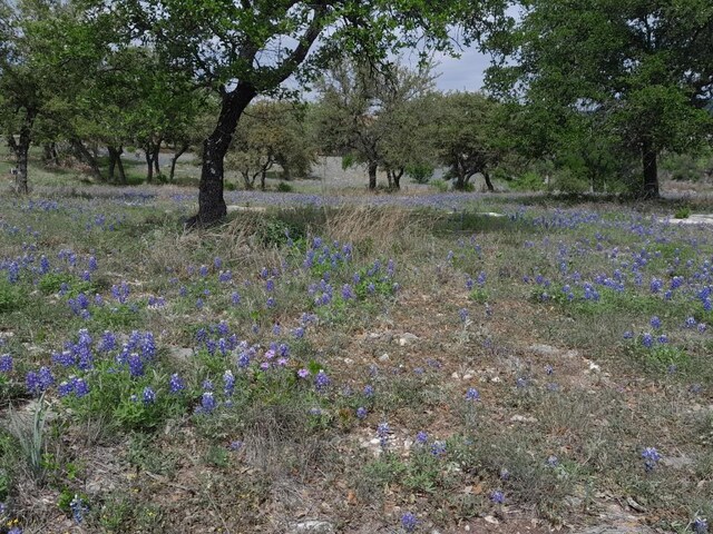 3103 Stableford Cv, Spicewood, TX 78669 - photo 6
