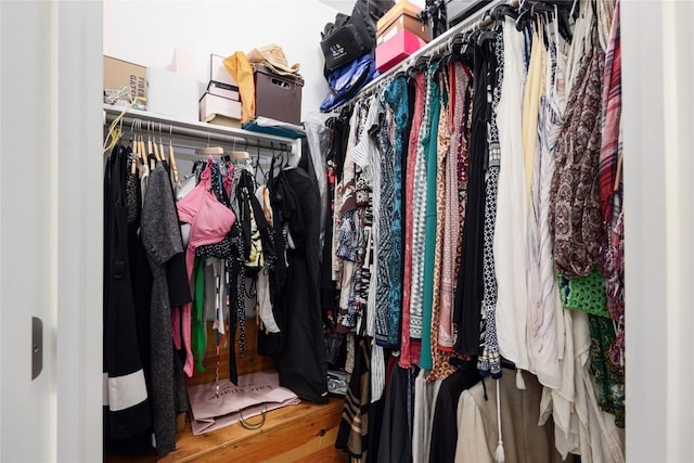 view of walk in closet