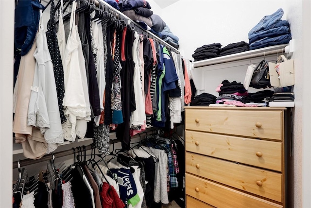 view of spacious closet