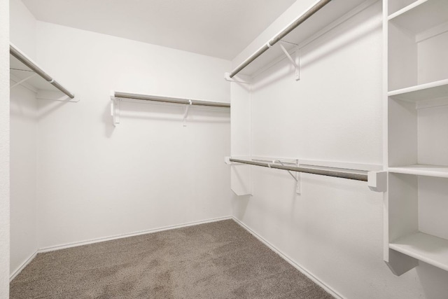 314 Andele Way, Liberty Hill, TX 78642 - spacious closet with carpet