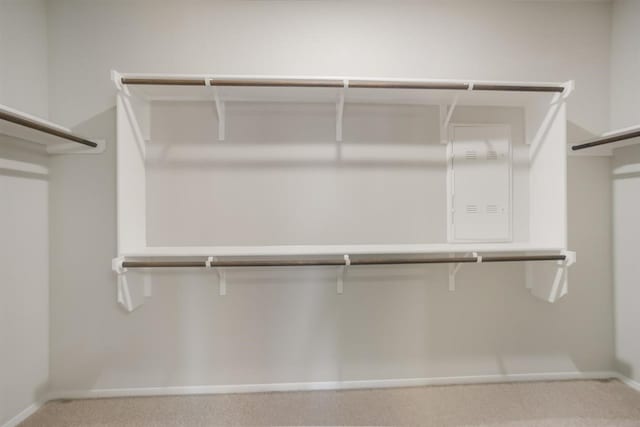 2428 Ambling Trl, Georgetown, TX 78628 - spacious closet featuring light colored carpet