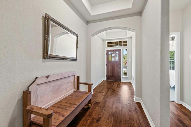 152 Florenz Ln, Georgetown, TX 78628 - foyer entrance with a tray ceiling, wood finished floors, baseboards, and arched walkways