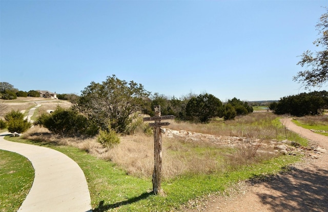 152 Florenz Ln, Georgetown, TX 78628 - view of community