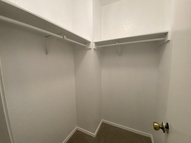 330 Mistletoe Ln, Kyle, TX 78640 - spacious closet featuring dark colored carpet
