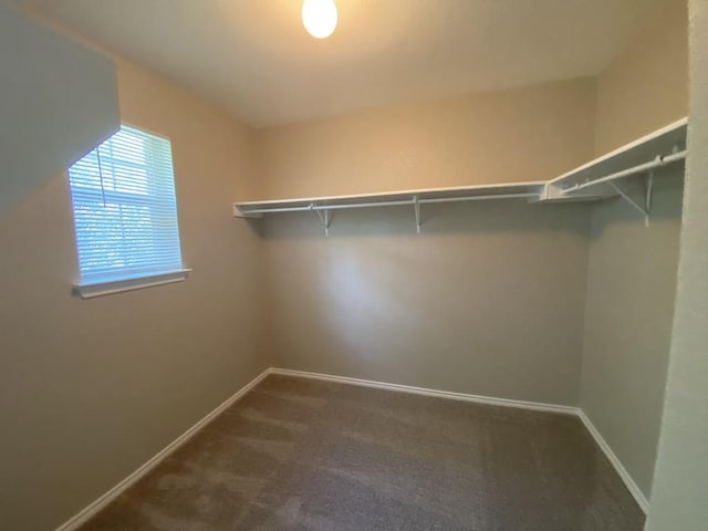 330 Mistletoe Ln, Kyle, TX 78640 - spacious closet with dark carpet