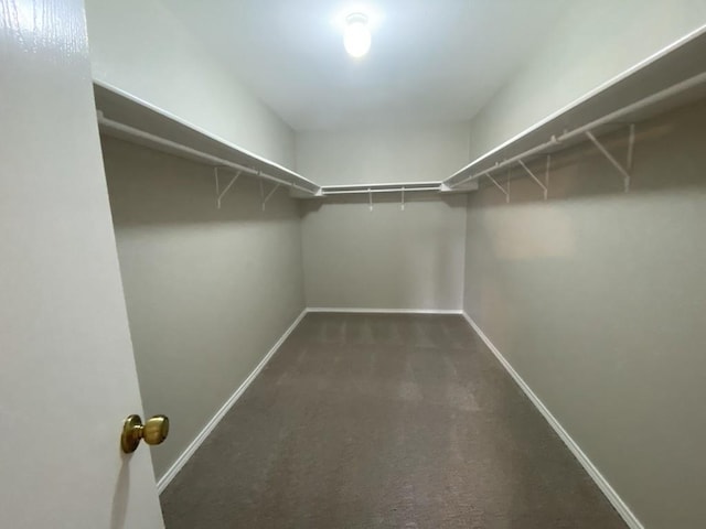 330 Mistletoe Ln, Kyle, TX 78640 - spacious closet featuring dark carpet