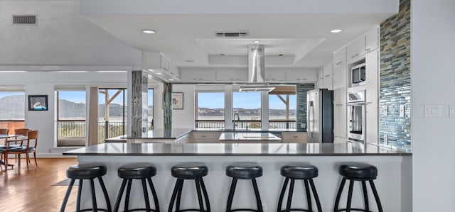6714 Mtn Trl, Austin, TX 78732 - kitchen with stainless steel appliances, a raised ceiling, white cabinets, wood finished floors, and a peninsula