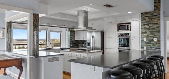 6714 Mtn Trl, Austin, TX 78732 - kitchen featuring a sink, island range hood, a peninsula, stainless steel appliances, and a kitchen island