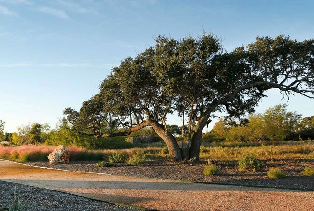 2453 Ambling Trl, Georgetown, TX 78628 - view of road