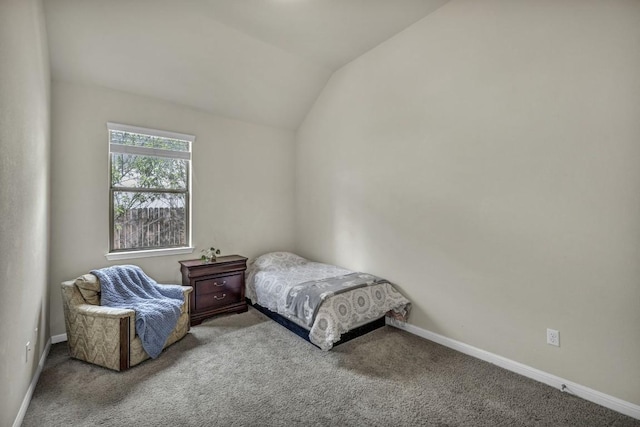3821 Tordera Dr, Austin, TX 78738 - bedroom featuring lofted ceiling, baseboards, and carpet