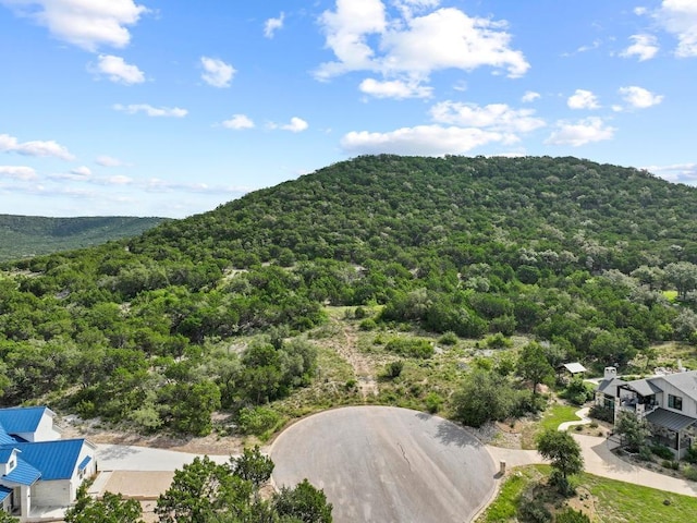 7812 Brandy Way, Volente, TX 78641 - photo 7