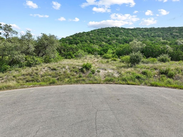 7812 Brandy Way, Volente, TX 78641 - photo 10