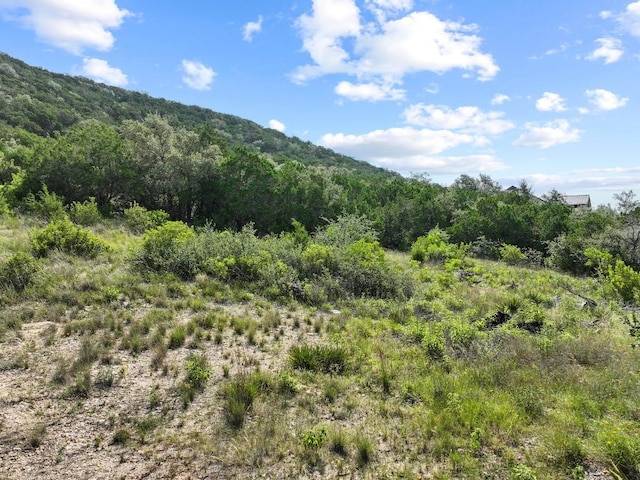 7812 Brandy Way, Volente, TX 78641 - photo 11