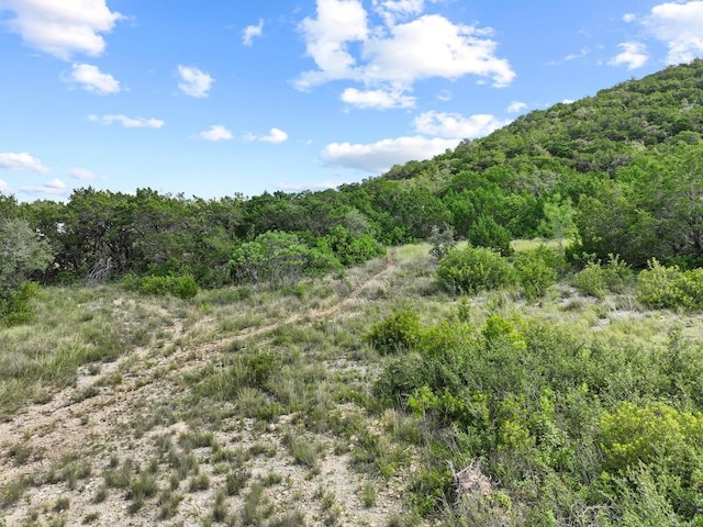 7812 Brandy Way, Volente, TX 78641 - photo 12