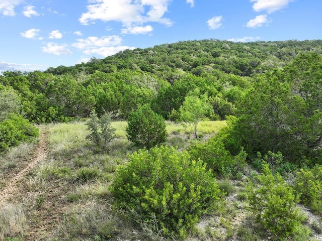 7812 Brandy Way, Volente, TX 78641 - photo 13