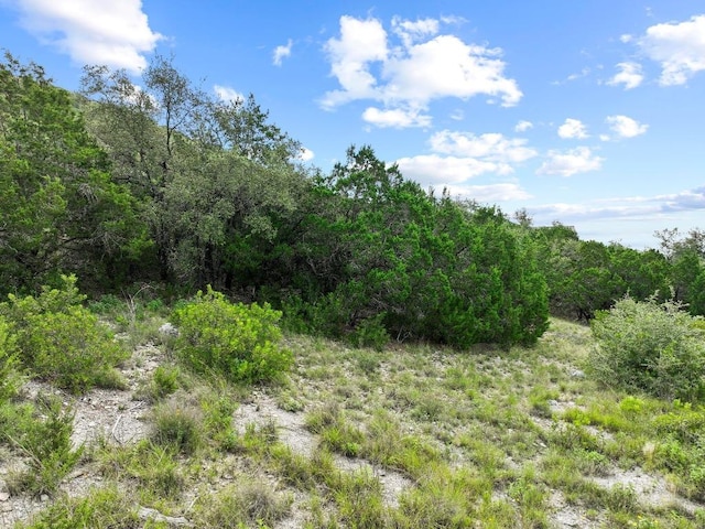 7812 Brandy Way, Volente, TX 78641 - photo 14