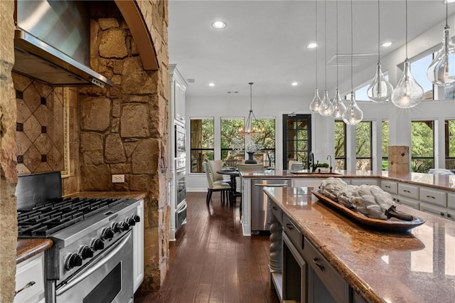 kitchen with stainless steel appliances, exhaust hood, a sink, and plenty of natural light