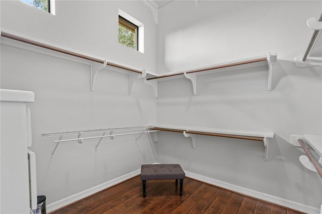 spacious closet featuring hardwood / wood-style flooring