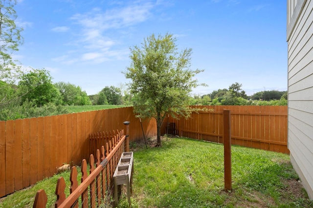 800 Totis Rd, Austin, TX 78748 - view of fenced backyard