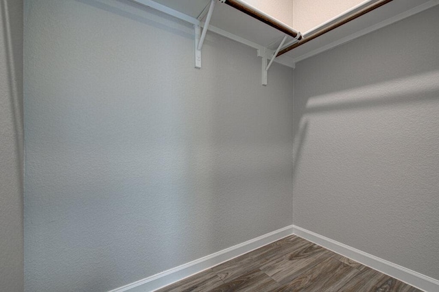 walk in closet with dark wood finished floors