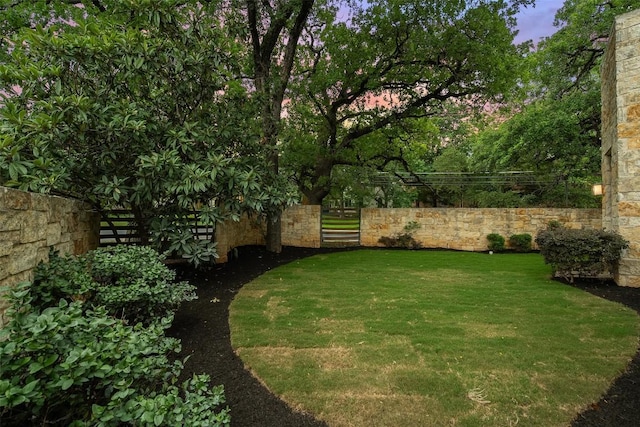 3007 Windsor Rd Unit B, Austin, TX 78703 - view of yard