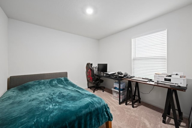 18720 Speculator Ln, Elgin, TX 78621 - bedroom featuring carpet