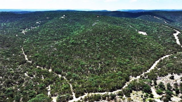 LOT129 Spring Country Ranch Rd, Leakey, TX 78873