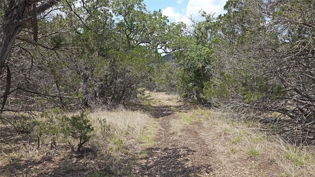 LOT129 Spring Country Ranch Rd, Leakey, TX 78873