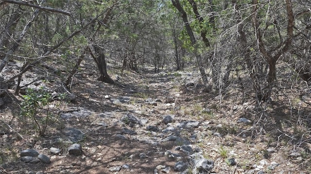 LOT129 Spring Country Ranch Rd, Leakey, TX 78873