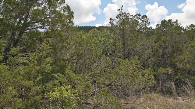 LOT129 Spring Country Ranch Rd, Leakey, TX 78873