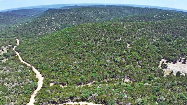 LOT129 Spring Country Ranch Rd, Leakey, TX 78873