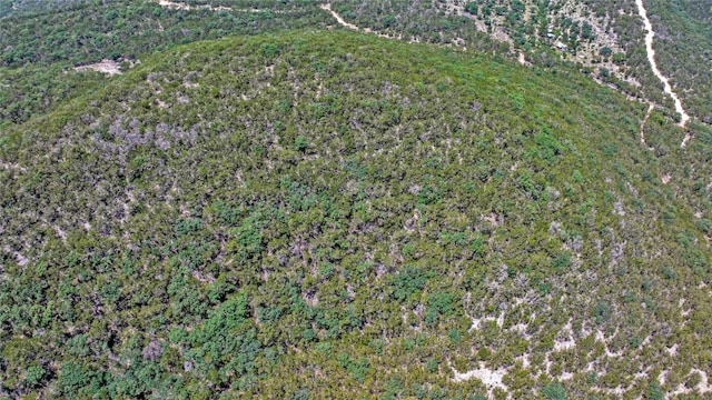 LOT129 Spring Country Ranch Rd, Leakey, TX 78873