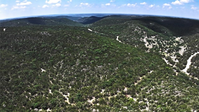 LOT129 Spring Country Ranch Rd, Leakey, TX 78873