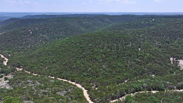 LOT129 Spring Country Ranch Rd, Leakey, TX 78873