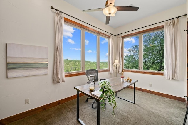 21216 Bertram Ln, Spicewood, TX 78669 - carpeted home office featuring plenty of natural light, baseboards, and a ceiling fan