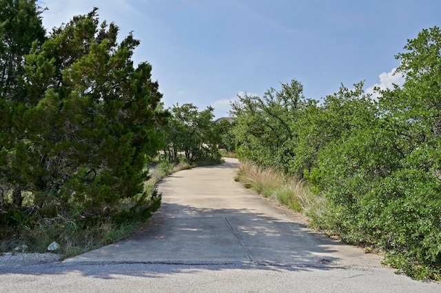 21216 Bertram Ln, Spicewood, TX 78669 - view of street