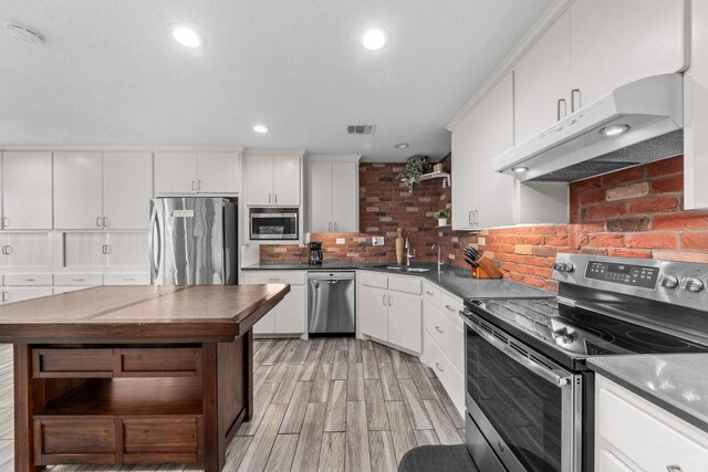 5315 Denmans Loop, Belton, TX 76513 - kitchen with under cabinet range hood, visible vents, a sink, dark countertops, and stainless steel appliances