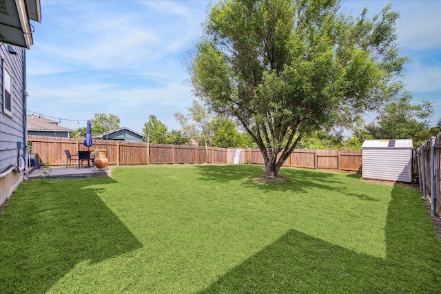 view of yard featuring an outbuilding, a patio, a fenced backyard, and a storage unit