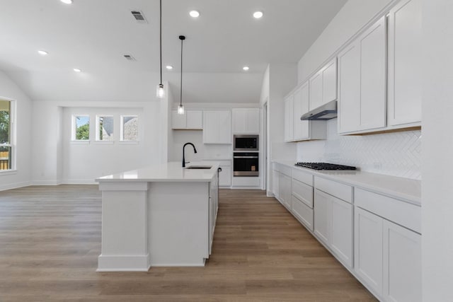 1108 Snowdrop Dr, Georgetown, TX 78628 - kitchen featuring stainless steel appliances, under cabinet range hood, tasteful backsplash, light wood-type flooring, and recessed lighting