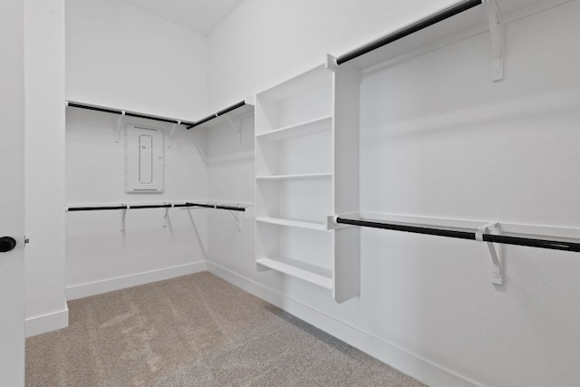 1108 Snowdrop Dr, Georgetown, TX 78628 - spacious closet with carpet flooring and electric panel