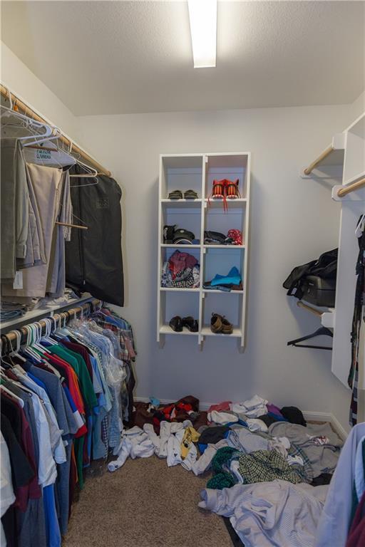spacious closet featuring carpet
