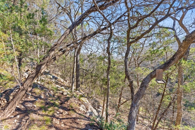 24200 Spur Trl, Spicewood, TX 78669 - photo 10