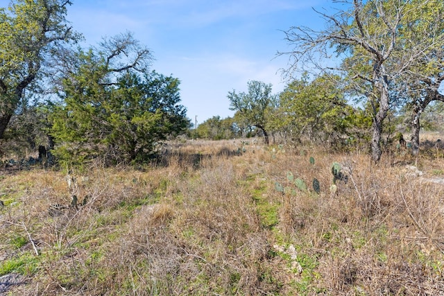 24200 Spur Trl, Spicewood, TX 78669 - photo 16