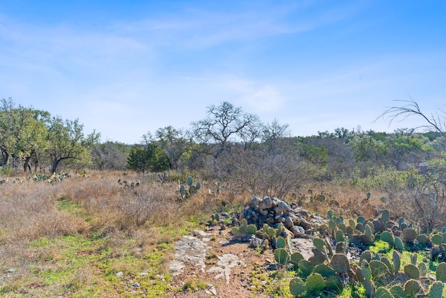 24200 Spur Trl, Spicewood, TX 78669 - photo 4